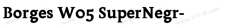 Borges W05 SuperNegr字体转换 Borges W05 SuperNegr字体转换